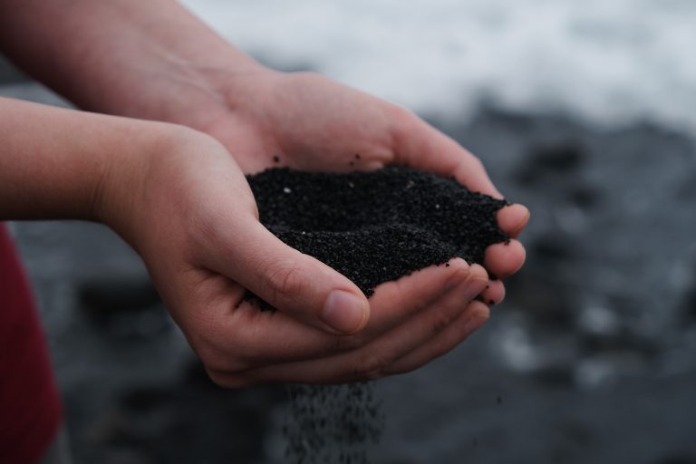 Finding Inspiration in the Compost